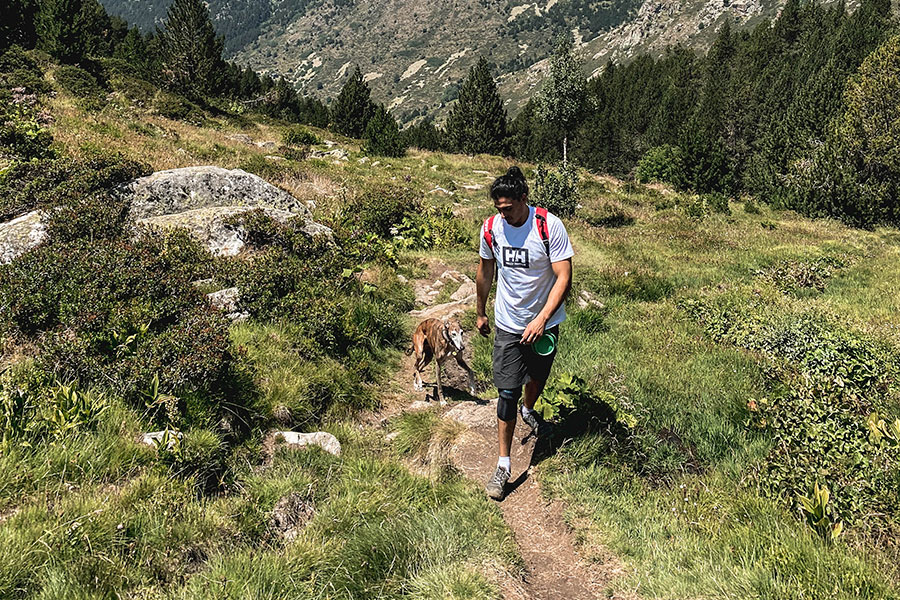 The Adventure Free Lightroom Preset After Calibration