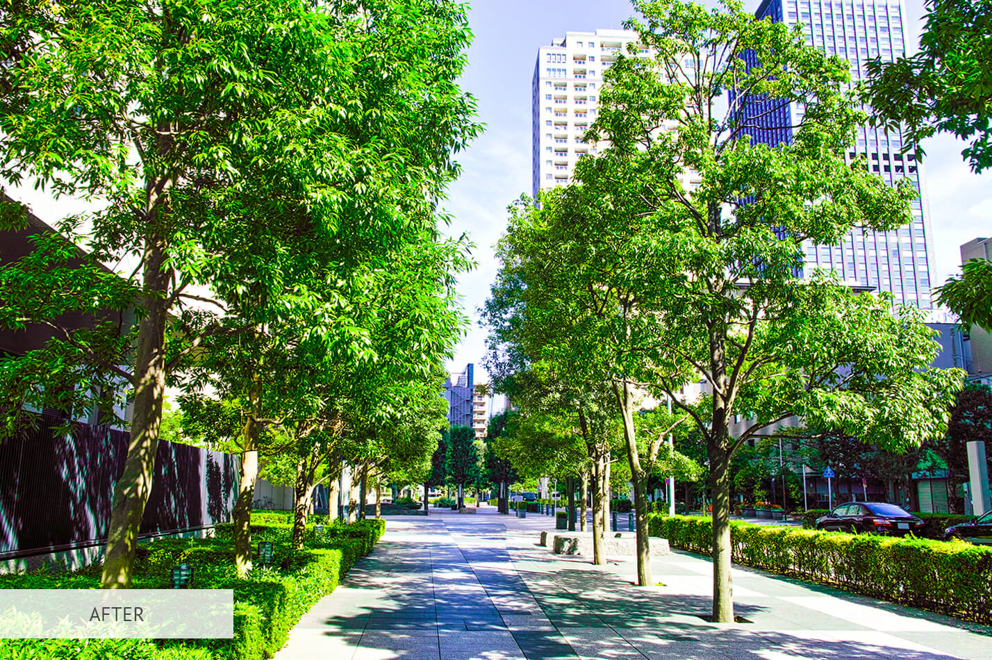 Urban Saturation Free Lightroom Preset After Calibration