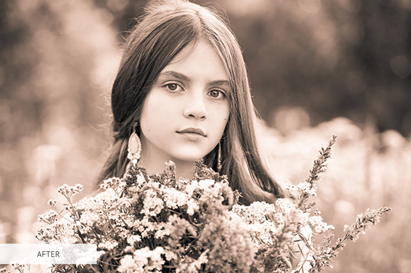 Vintage Soft Sepia Free Lightroom Preset After Calibration