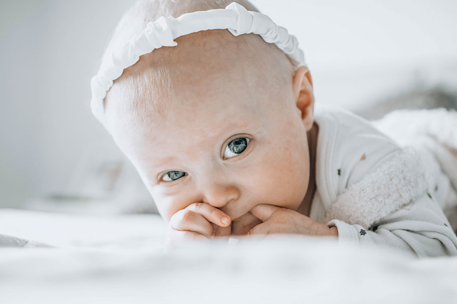 Whispys Free Lightroom Preset After Calibration