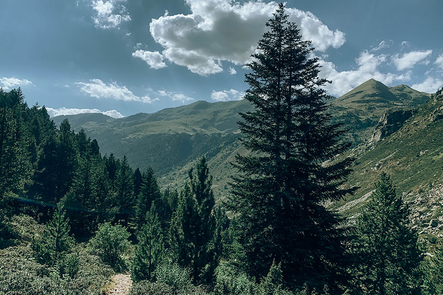 Yellowstone Free Lightroom Preset After Calibration